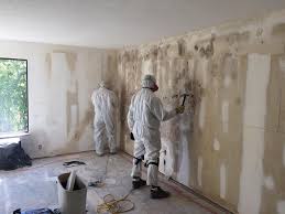 Best Emergency Mold Remediation in Oradell, NJ